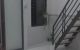 thum-8273686_l4L0SXGfAM_1638327095.jpg