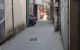 thum-8273947_76SoBfnqTV_1638333792.jpg