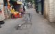 thum-8275129_duY4NvLx7z_1638368442.jpg