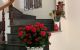 thum-8276467_BMOchY96WI_1638431834.jpg