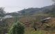 thum-8276677_oDvnAy1rwi_1638436139.jpeg