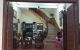 thum-8277282_HDkQB6Ci3V_1638457488.jpg