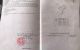 thum-8278110_DHx3ITF7Lz_1638500804.jpg