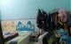 thum-8278486_XMTbeE3KYG_1638513554.jpg