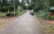 thum-m_ybClMjaWHr_1638520342.jpg