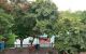 thum-8280662_AtWSgZBPT6_1638603760.jpg