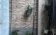 thum-8280944_ZFMbGvwWQ6_1638611836.jpg