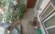thum-8281371_U8QhgCvMlE_1638632729.jpg