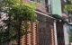 thum-m_MWLZsv5yib_1638584248.jpg