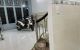 thum-8281391_2dMtAhbK4x_1638637565.jpg