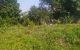 thum-8282053_C2Y81lwf9V_1638670763.jpg