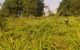 thum-8282053_gMNxurw7pL_1638670767.jpg