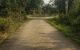 thum-8284110_4VdjFozW2K_1638764827.jpg