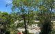 thum-8284475_Nc0TgL47UO_1638778128.jpg