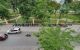 thum-m_ifkrDoTpg6_1638789596.jpg