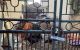 thum-m_mD5czd7HkC_1638764664.jpg