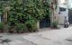 thum-8285824_2rNjSOs81T_1638844357.jpg