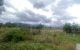 thum-8285864_fIzxXmhk7J_1638845246.jpg