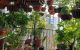 thum-8286032_AWUr3NscXa_1638848430.jpeg