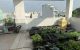 thum-8286178_gDkrb7Md5R_1638854470.jpeg