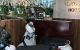 thum-8286213_NT87xZa3f9_1638856092.jpg