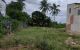 thum-m_EgVdNZcvRx_1638848156.jpg