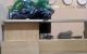 thum-m_IutRdcJNHO_1638863639.jpg