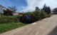 thum-m_Mgvf16lqio_1638867725.jpg