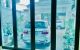 thum-m_NOK64HBkYW_1638890690.jpg