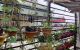 thum-8287735_xm2LEdNe73_1638925887.jpg
