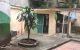 thum-8290461_RYAEiVLc98_1639014150.jpg