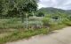 thum-8291340_651L3FaCJc_1639042880.jpg