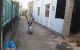 thum-8291344_ngkFJyb2pf_1639042994.jpg