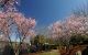 thum-8291359_Qq64CBwdpe_1639043257.jpg