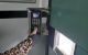 thum-8291550_siWVXCg2dQ_1639047388.jpg