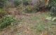 thum-8291642_szgaO9k64N_1639050250.jpg