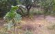 thum-m_T4sBMQpSdI_1639050238.jpg