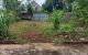 thum-m_qOVePEy6Ta_1639034460.jpg