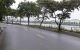 thum-8292538_xEZ7mw6brN_1639102169.jpg