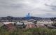 thum-8293422_wH37VJhUnO_1639121659.jpg