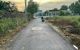 thum-m_kplhxnRUaV_1639106071.jpg