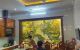 thum-m_w68F4NqfyM_1639088185.jpg