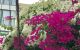 thum-8294575_PZ1VogKm8B_1639168178.jpg