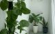 thum-8295167_5TE9Ry2GOS_1639192810.jpg
