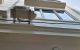 thum-8295247_fWG1aY8Eud_1639194937.jpg
