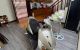 thum-m_vh3d7irZNW_1639191451.jpeg