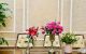 thum-8296915_gSuzvqpLyI_1639271672.jpg