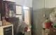 thum-8298190_xOPViEoSq6_1639325121.jpeg
