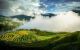 thum-8299049_Czd0bqGXaD_1639369997.jpg