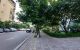 thum-8299119_h0U3kmOrnc_1639373033.jpg